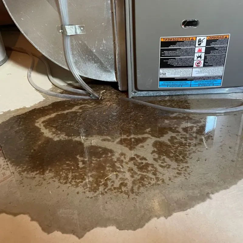 Pipe Burst and Leak Restoration in Saunders County, NE